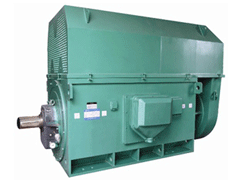 YKK500-8CY系列6KV高压电机