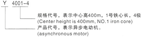 西安泰富西玛Y系列(H355-1000)高压YKK500-8C三相异步电机型号说明