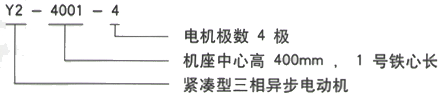 YR系列(H355-1000)高压YKK500-8C三相异步电机西安西玛电机型号说明